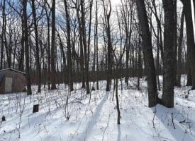 Lot 6 Pauls Woods Rd, Delray, WV 26714