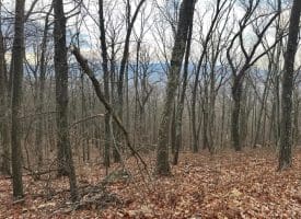 Lot 14 Sec 8 Lawyer Ln, Slanesville, WV  25444
