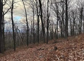 Lot 24 Sec 10 Lawyer Ln, Slanesville, WV 25444