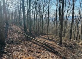 Lot 13 Sec 8 Lawyer Ln, Slanesville, WV  25444