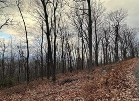 Lot 24 Sec 10 Lawyer Ln, Slanesville, WV 25444