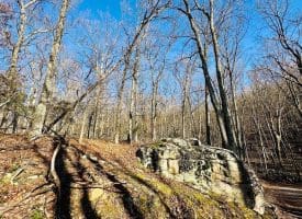 Lot 18 Sec 8 Butterfly Ln, Slanesville, WV 25444