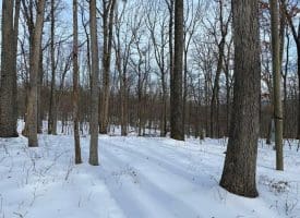 Lot 6 Pauls Woods Rd, Delray, WV 26714