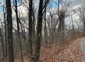 Lot 14 Sec 8 Lawyer Ln, Slanesville, WV  25444