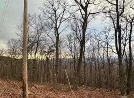 Lot 24 Sec 10 Lawyer Ln, Slanesville, WV 25444