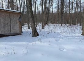 Lot 6 Pauls Woods Rd, Delray, WV 26714