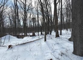 Lot 6 Pauls Woods Rd, Delray, WV 26714