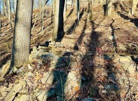 Lot 13 Sec 8 Lawyer Ln, Slanesville, WV  25444