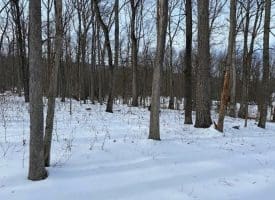 Lot 6 Pauls Woods Rd, Delray, WV 26714