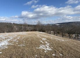 17.55 Ac Shenandoah Mtn Rd., Mathias, WV  26812