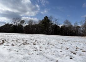 17.55 Ac Shenandoah Mtn Rd., Mathias, WV  26812