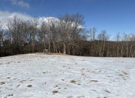 17.55 Ac Shenandoah Mtn Rd., Mathias, WV  26812