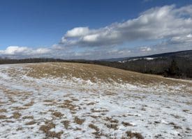 17.55 Ac Shenandoah Mtn Rd., Mathias, WV  26812