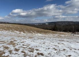 17.55 Ac Shenandoah Mtn Rd., Mathias, WV  26812