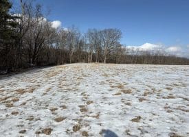 17.55 Ac Shenandoah Mtn Rd., Mathias, WV  26812