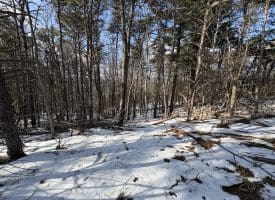 17.55 Ac Shenandoah Mtn Rd., Mathias, WV  26812