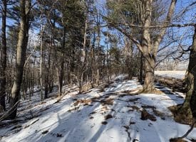 17.55 Ac Shenandoah Mtn Rd., Mathias, WV  26812