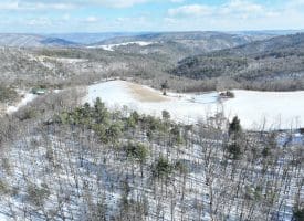 17.55 Ac Shenandoah Mtn Rd., Mathias, WV  26812