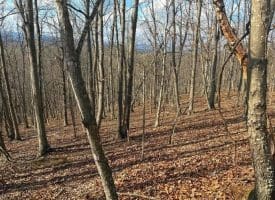 Lot 13-A Beam Rd., Romney, WV  26757