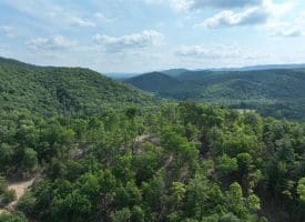 686.10 Acres Thorn Bottom Rd., Wardensville, WV  26851