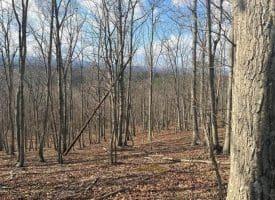 Lot 13-A Beam Rd., Romney, WV  26757