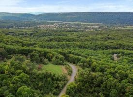 Cardinal Ridge Estates