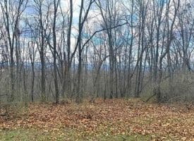 Lot 13-A Beam Rd., Romney, WV  26757