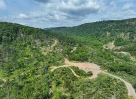 686.10 Acres Thorn Bottom Rd., Wardensville, WV  26851