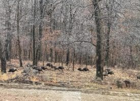 879 Olde Oak View Dr., Springfield, WV  26763