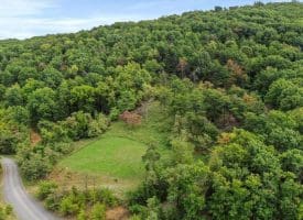 Cardinal Ridge Estates