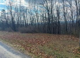 Lot 13-A Beam Rd., Romney, WV  26757