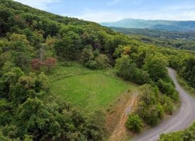 Cardinal Ridge Estates