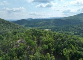 686.10 Acres Thorn Bottom Rd., Wardensville, WV  26851