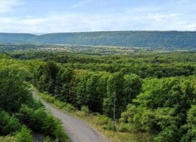 Cardinal Ridge Estates