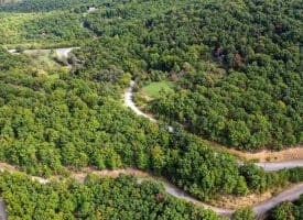 Cardinal Ridge Estates