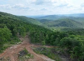 686.10 Acres Thorn Bottom Rd., Wardensville, WV  26851