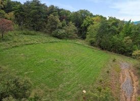 Cardinal Ridge Estates