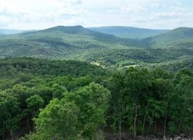 686.10 Acres Thorn Bottom Rd., Wardensville, WV  26851