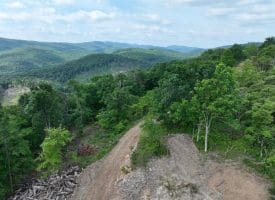 686.10 Acres Thorn Bottom Rd., Wardensville, WV  26851