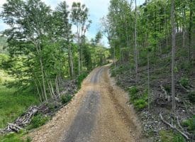 686.10 Acres Thorn Bottom Rd., Wardensville, WV  26851