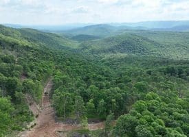 686.10 Acres Thorn Bottom Rd., Wardensville, WV  26851