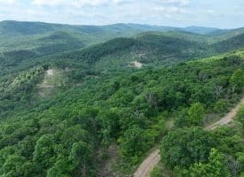 686.10 Acres Thorn Bottom Rd., Wardensville, WV  26851