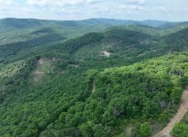 686.10 Acres Thorn Bottom Rd., Wardensville, WV  26851