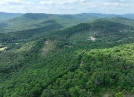 686.10 Acres Thorn Bottom Rd., Wardensville, WV  26851