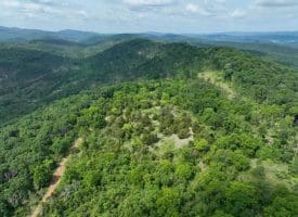 686.10 Acres Thorn Bottom Rd., Wardensville, WV  26851