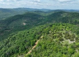 686.10 Acres Thorn Bottom Rd., Wardensville, WV  26851