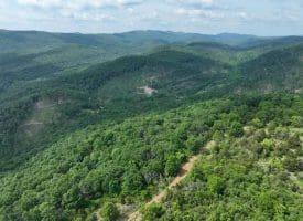 686.10 Acres Thorn Bottom Rd., Wardensville, WV  26851