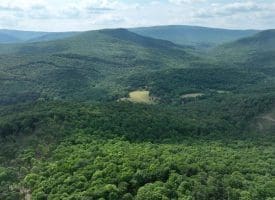 686.10 Acres Thorn Bottom Rd., Wardensville, WV  26851