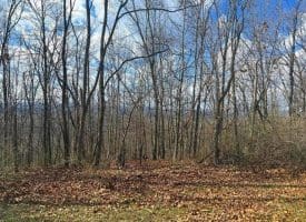 Lot 13-A Beam Rd., Romney, WV  26757