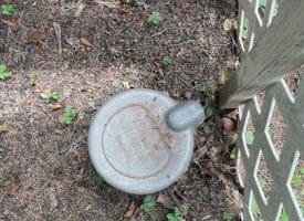 5787 Bloomery Pike, Augusta, WV  26704